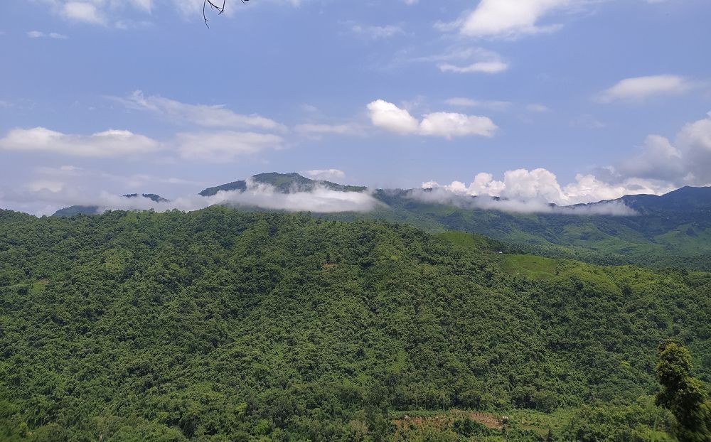 A forest somewhere in Wokha district. The Nagaland Tribes Council on August 16 maintains that the exempt land within 100 kms of the country’s borders from the purview of conservation laws under the Forest (Conservation) Amendment Act, 2023 ‘covers the entire territorial jurisdiction of the present State of Nagaland, as if, the entire area is nobody’s land.’ (Morung File Photo: For Representational Purposes Only.